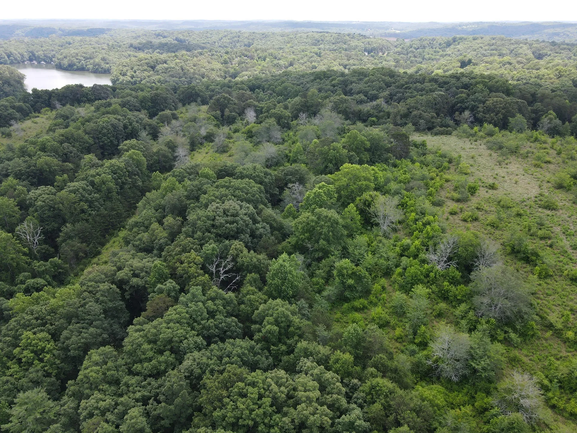 Haselton Phase I: aerial of site work
