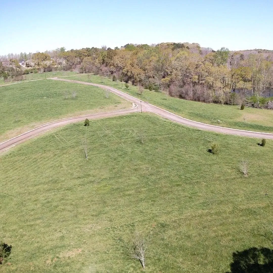 Steeple Chase: aerial of remaining land